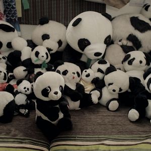 Foto Alvin’s Harmonious World of Opposites