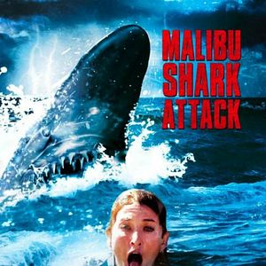 Foto Tubarão de Malibu