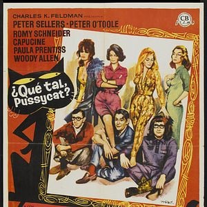 Foto O Que é Que Há, Gatinha?