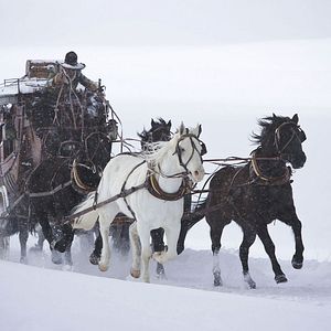 Foto Os Oito Odiados