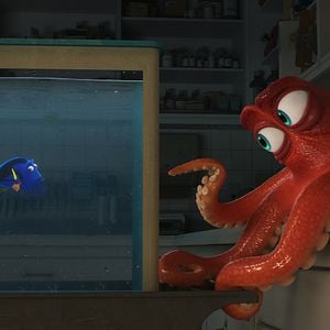 Foto Procurando Dory