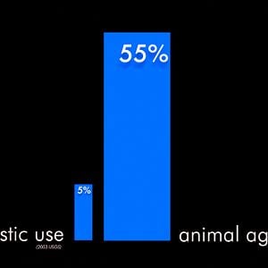 Foto Cowspiracy - O Segredo da Sustentabilidade