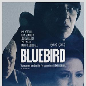 Foto Bluebird