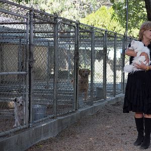 Foto Catherine Hicks