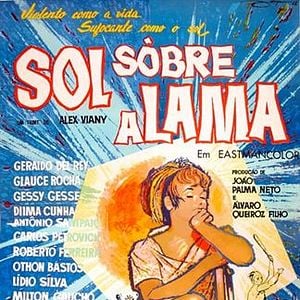 Foto Sol Sobre a Lama