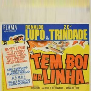 Foto Tem Boi na Linha