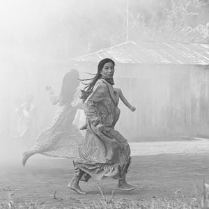 Foto O Abraço da Serpente