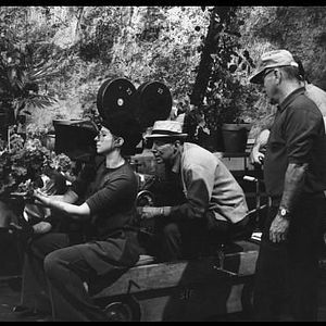 Foto Num Dia Claro de Verão