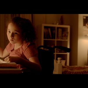 Foto Os Pássaros Migratórios