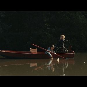 Foto Os Pássaros Migratórios