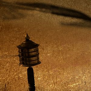 Foto Coração de Cachorro