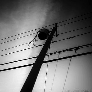 Foto Coração de Cachorro