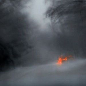 Foto Coração de Cachorro