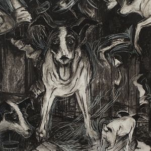 Foto Coração de Cachorro