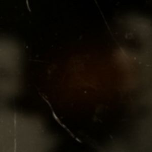 Foto Coração de Cachorro