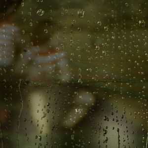 Foto Coração de Cachorro