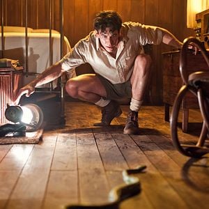 Foto Palmeiras na Neve