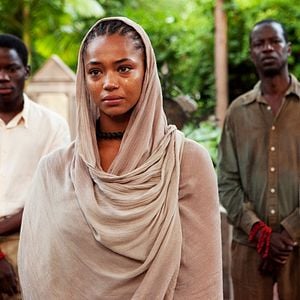 Foto Palmeiras na Neve