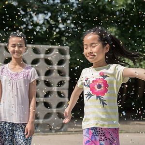 Foto Fortune Favors the Brave