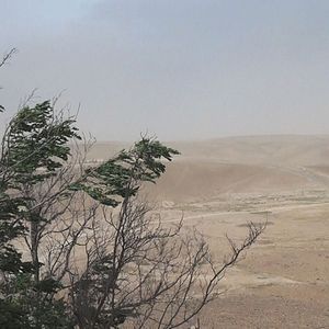 Foto Não é Um Filme Caseiro