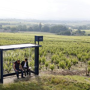 Foto Saint Amour - Na Rota do Vinho