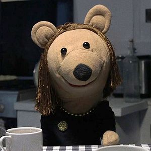 Foto A Socióloga e o Ursinho