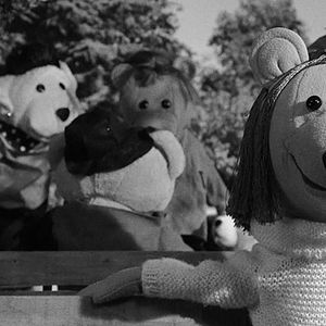 Foto A Socióloga e o Ursinho