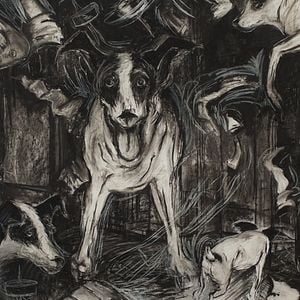 Foto Coração de Cachorro