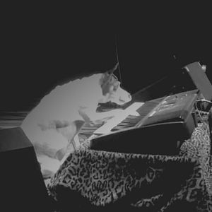 Foto Coração de Cachorro