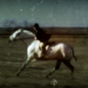 Foto Coração de Cachorro