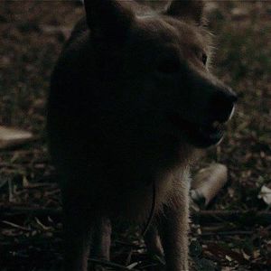 Foto Planeta Escarlate