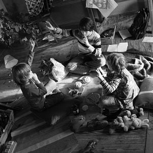 Foto Im Spinnwebhaus