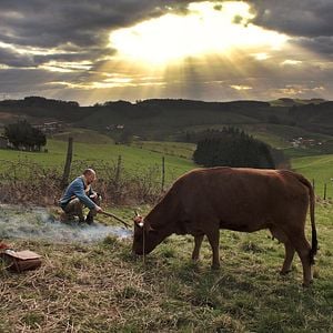 Foto A Incrível Jornada de Jacqueline