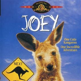 Foto Joey - Um Canguru em Apuros