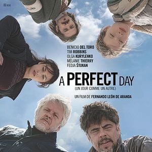 Foto Um Dia Perfeito