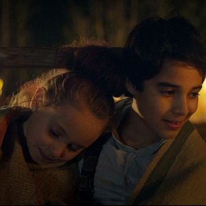 Foto Um cavalo chamado elefante