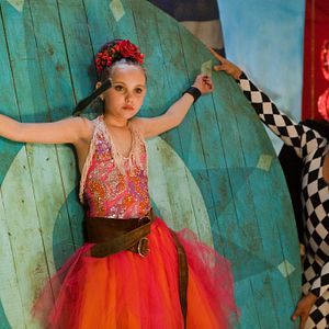 Foto Um cavalo chamado elefante