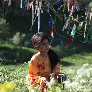 Foto Em Direção à Minha Voz