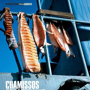 Foto Chamisso's Shadow