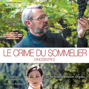 Foto O Vinho Perfeito