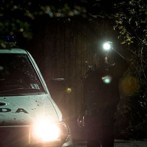 Foto A Maldição da Floresta