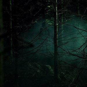 Foto A Maldição da Floresta