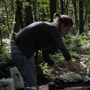 Foto Le Bois dont les rêves sont faits