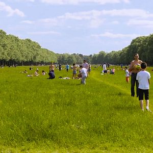 Foto Le Bois dont les rêves sont faits