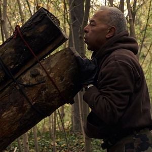 Foto Le Bois dont les rêves sont faits