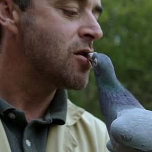 Foto Le Bois dont les rêves sont faits