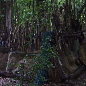 Foto Le Bois dont les rêves sont faits