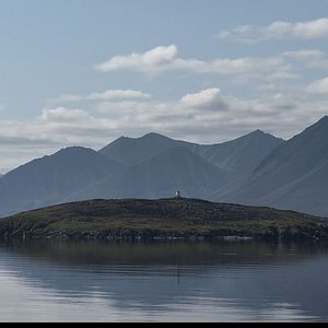 Foto Chamisso's Shadow