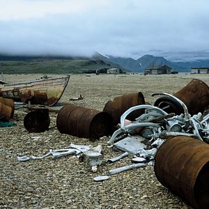 Foto Chamisso's Shadow