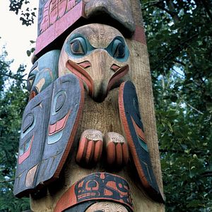 Foto Chamisso's Shadow